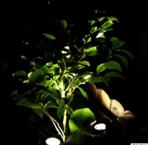 Solar Pool Light-0.2 Watt-8 Hours Working Time