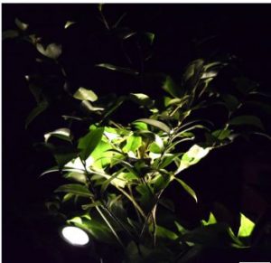 Solar Pool Light-0.2 Watt-ABS Material