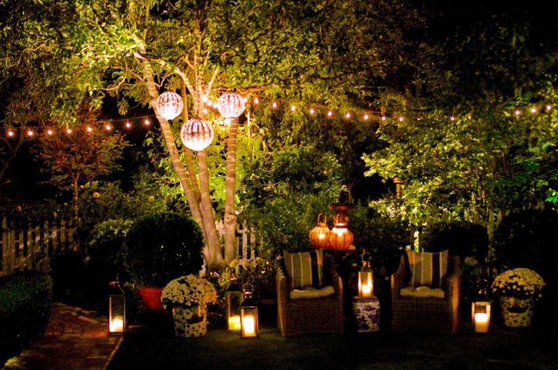 Solar Garden Lights